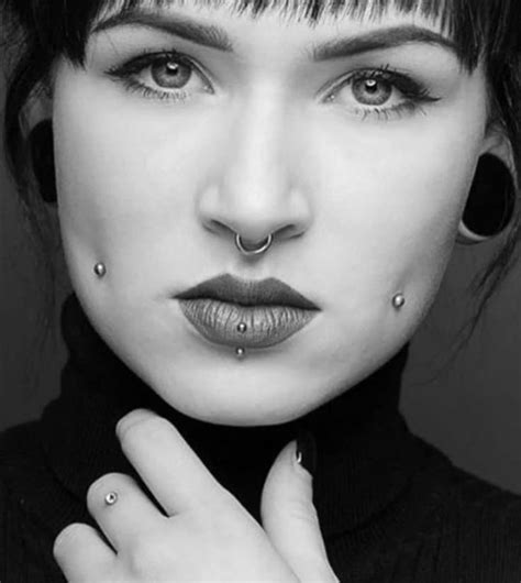 piercing xxl|wildcats piercing.